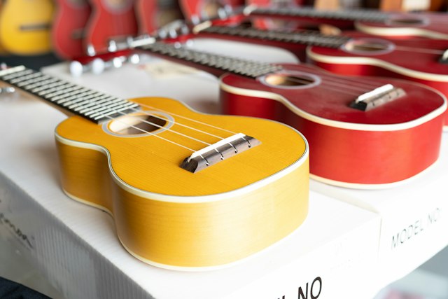Beginner Ukulele with Color-Coded Strings